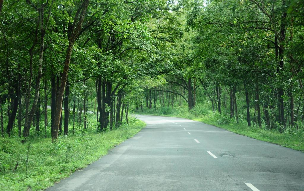 Marg Stream Valley Vythiri Exterior photo