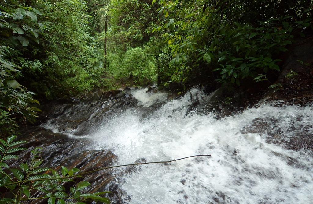 Marg Stream Valley Vythiri Exterior photo