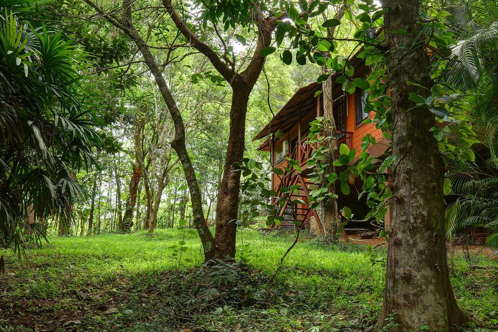Marg Stream Valley Vythiri Exterior photo
