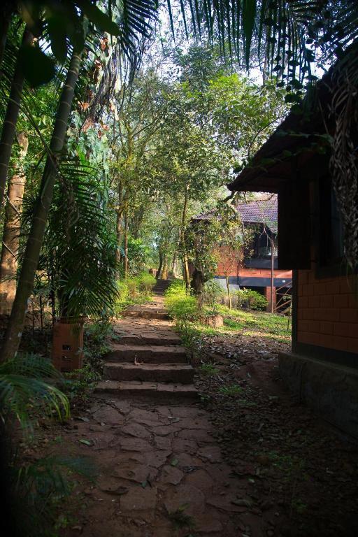 Marg Stream Valley Vythiri Exterior photo