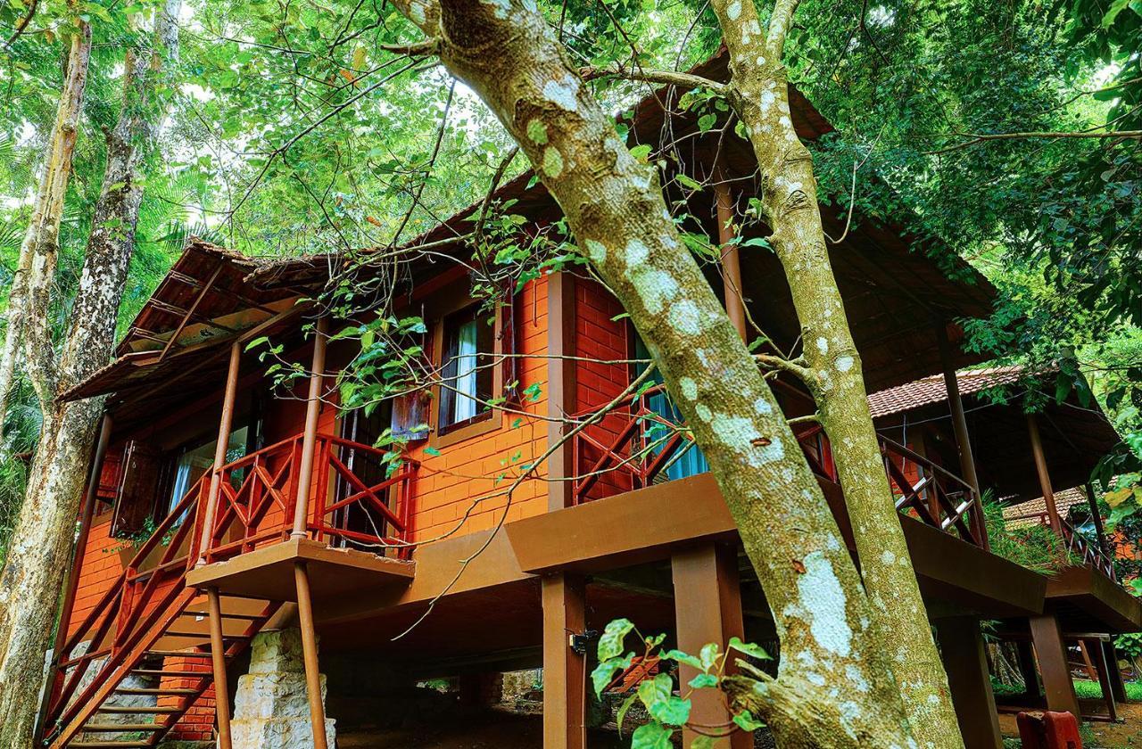Marg Stream Valley Vythiri Exterior photo